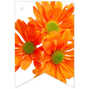 Banderines Sólo 3 Gerbera Blossom + tu trasero. e ideas