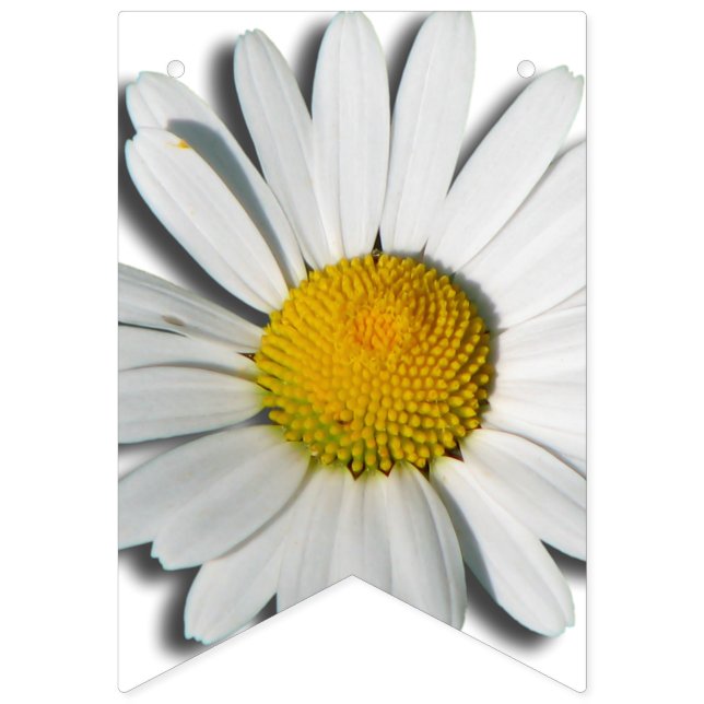 Banderines Sólo una Florencia Marguerita + tu trasero. e idea (Primera bandera)