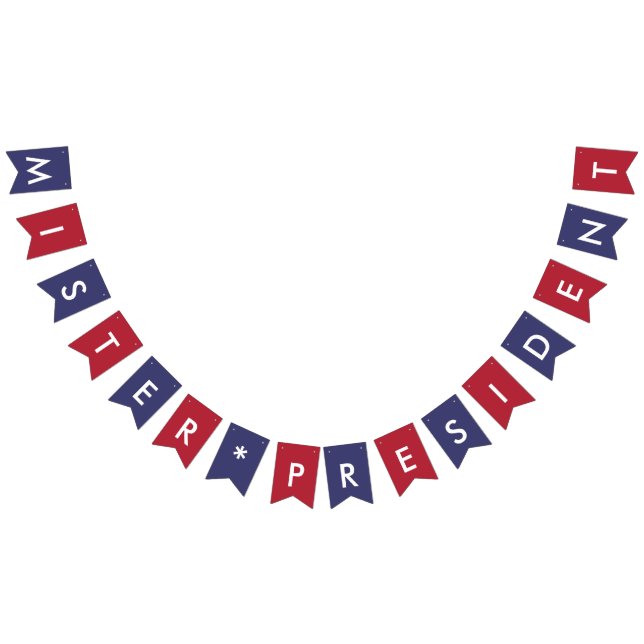 Banderines Sr. Presidente de los Estados Unidos de América Ti (Todo)