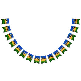 Banderines SUNSHINE POLKA DOT banner