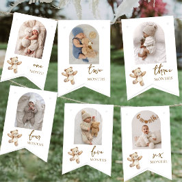 Banderines Teddy Bear First Birthday Photo Party 