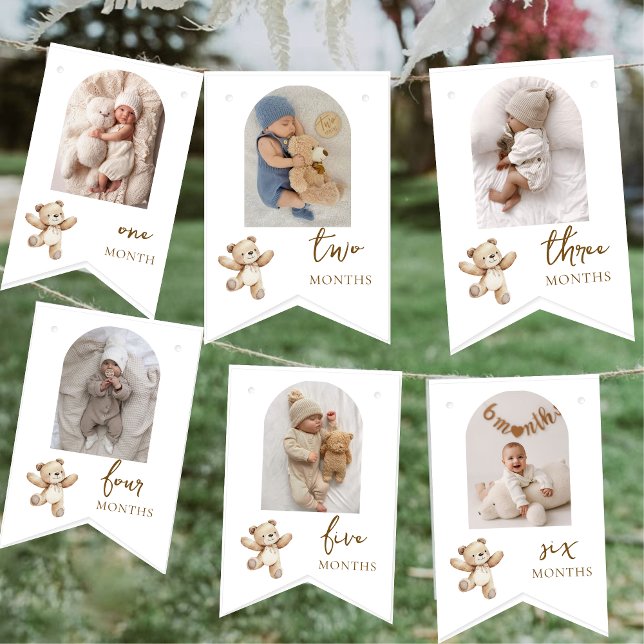 Banderines Teddy Bear First Birthday Photo Party  (Subido por el creador)