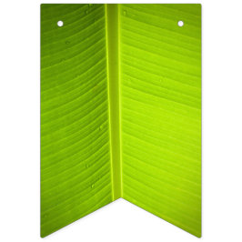 Banderines Tema Tropical. Banana se va.