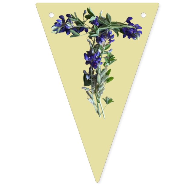 Banderines Texas Bluebonnets | Orgullo de Texas (Segunda bandera)