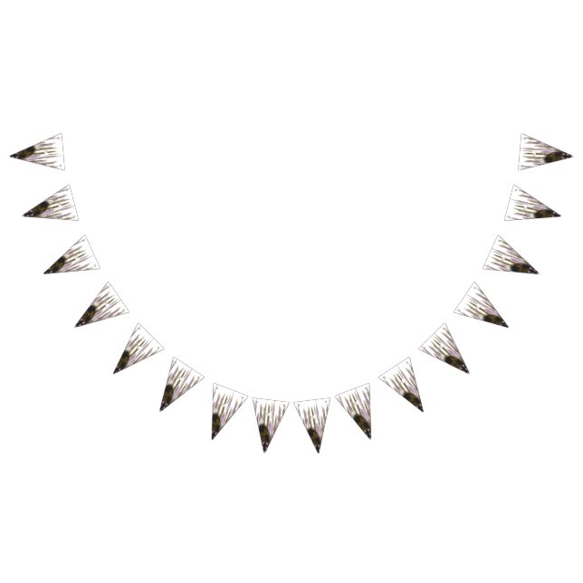 Banderines Un lago inmaculado entre la montaña nevada (Todo)