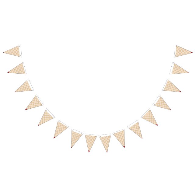 Banderines Un lujoso vestido boda indio con detalles (Todo)