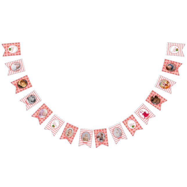 Banderines Una en un Melón Foto Bunt de la sandía del primer  (Todo)