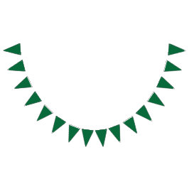 Banderines Una hoja verde vibrante con venas distintas es Ilu