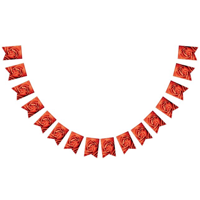 Banderines vida romántica (Todo)