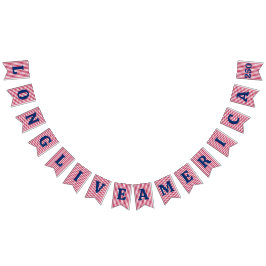 Banderines Viva América 250º Día de la Independencia