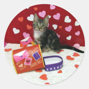 Bandit Los Pegatinas de San Valentín del gato Tabb