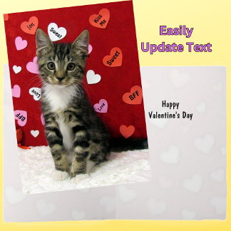Bandit's Valentine - Tarjeta de San Valentín Gato/