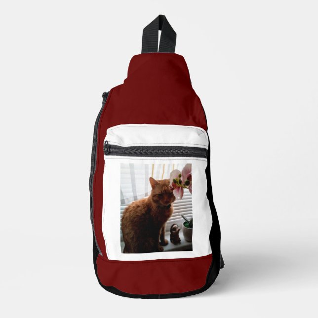 Bandolera Bandas de Crossbody (Anverso)