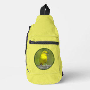 Bandolera Hembra de Oriole de Huerta en Primavera Foto Origi