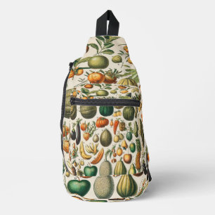 Bandolera Ilustracion científico botánico de frutas