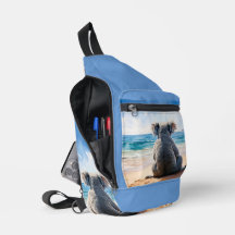 Koala mirando al océano