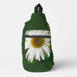 Bandolera Margarita común - Leucanthemum vulgare