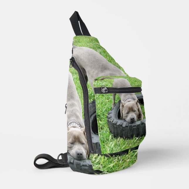 Bandolera Young Playful Staffordshire Bull Terrier, (Esquina izquierda)