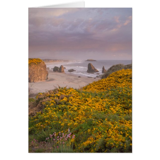 Bandon Beach Offshore Rocks Yellow Flowse Gorse (Frente)