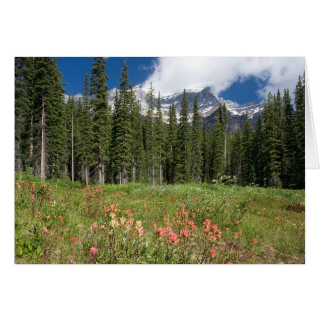 Banff Flowers Canada (Anverso (Horizontal))