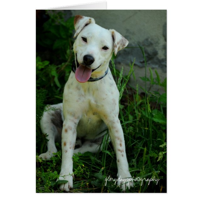 Banjo, mayo de 2009 (Frente)