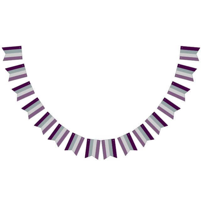 Banner de bandera asexual de connivencia con Fiest (Todo)