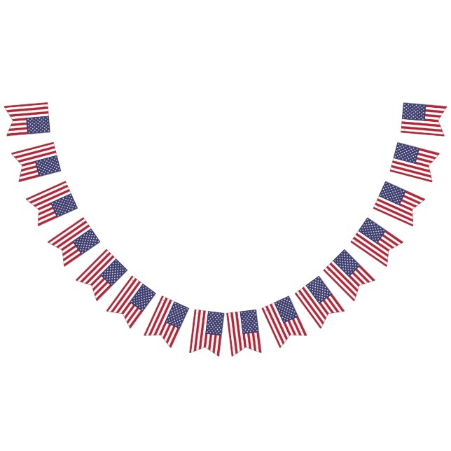 Banner norteamericano de Bunting con bandera de Es (Todo)