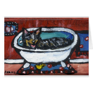 Baño australiano del perro del ganado