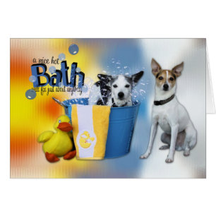 Baño caliente - rata Terrier