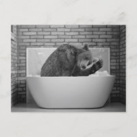 Baño de burbujas Baño de Baño con postal animal