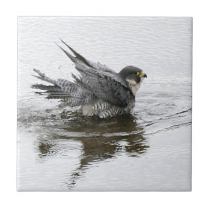 Baño de la pequeña baldosa cerámica de la belle