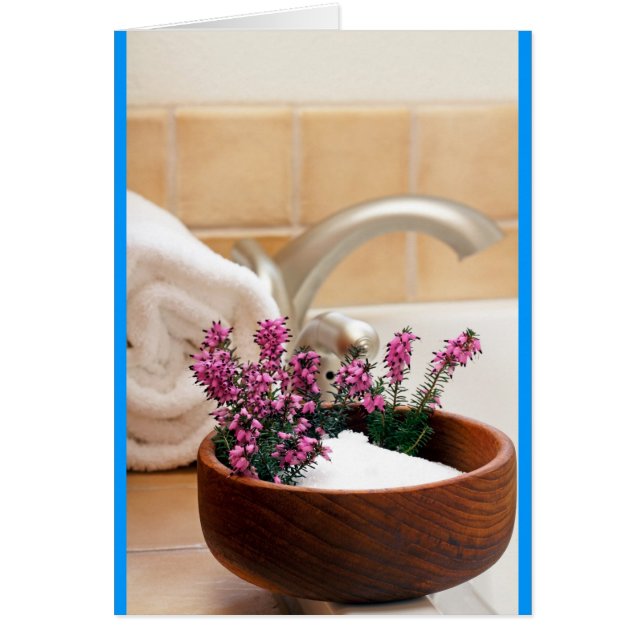 Baño de la tarde (Frente)