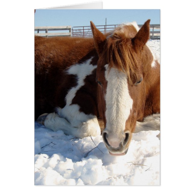 Baño de sol de invierno (Frente)