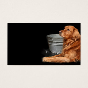 Baño del perro
