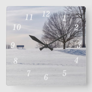 Baño En El Reloj De La Pared De La Colina Cubierta