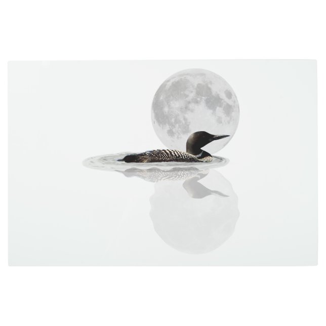 Baños En La Luna Arte Pared Metalizado (Anverso)