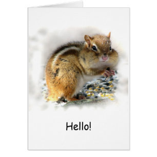Banquete de Chipmunk