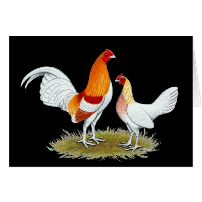 Bantam, juego inglés antiguo: Red Pyle (Anverso (Horizontal))