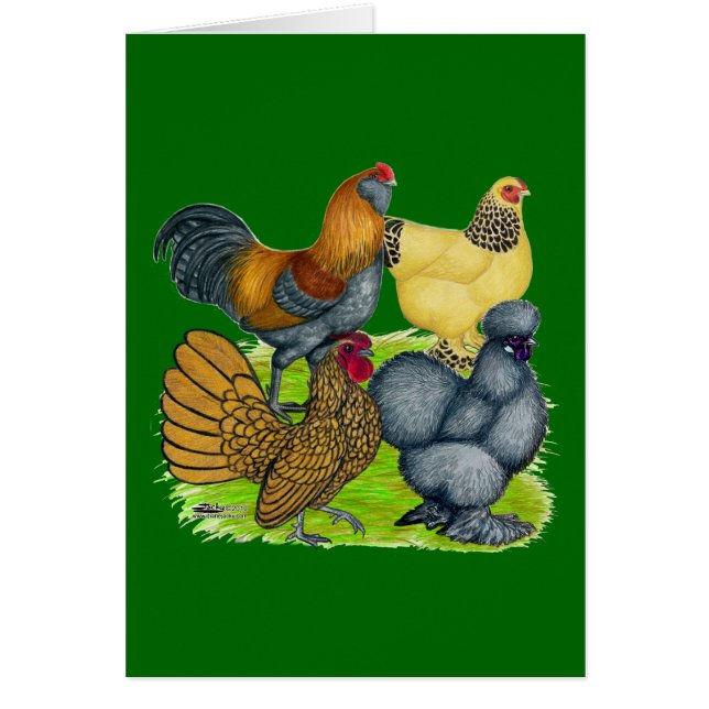 Bantam Quartet (Frente)