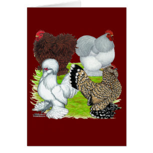 Bantams Feather Legged