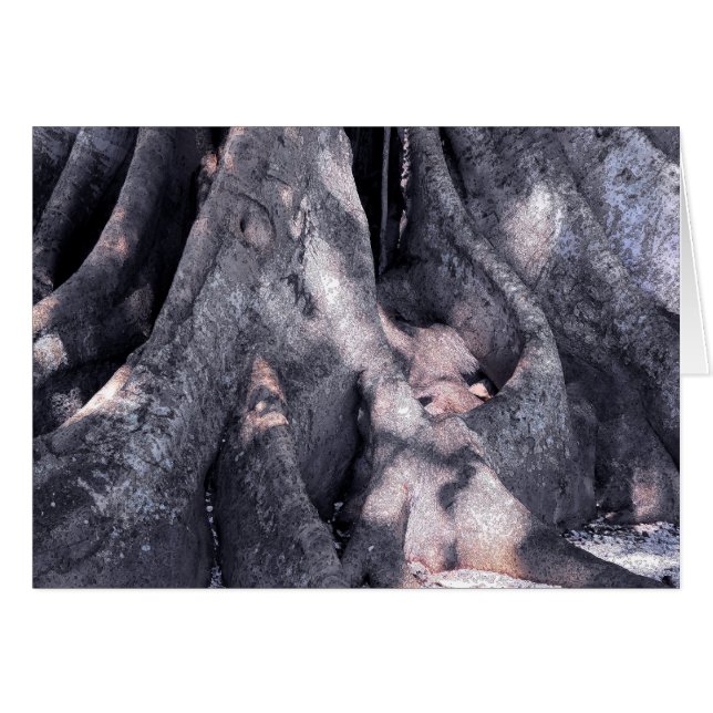 Banyan Tree (Anverso (Horizontal))