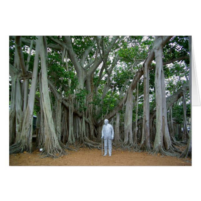 Banyan Tree Edison & Ford Estate Ft Myers Florida (Anverso (Horizontal))