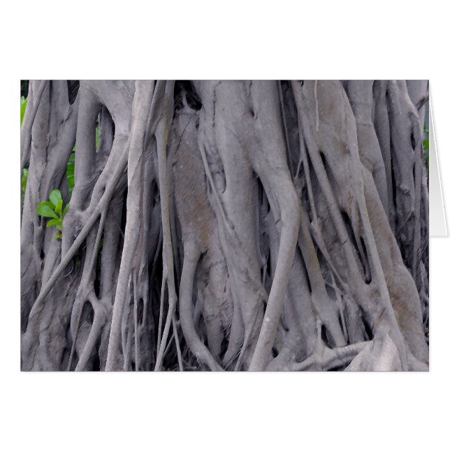 Banyan Tree Trunk (Anverso (Horizontal))