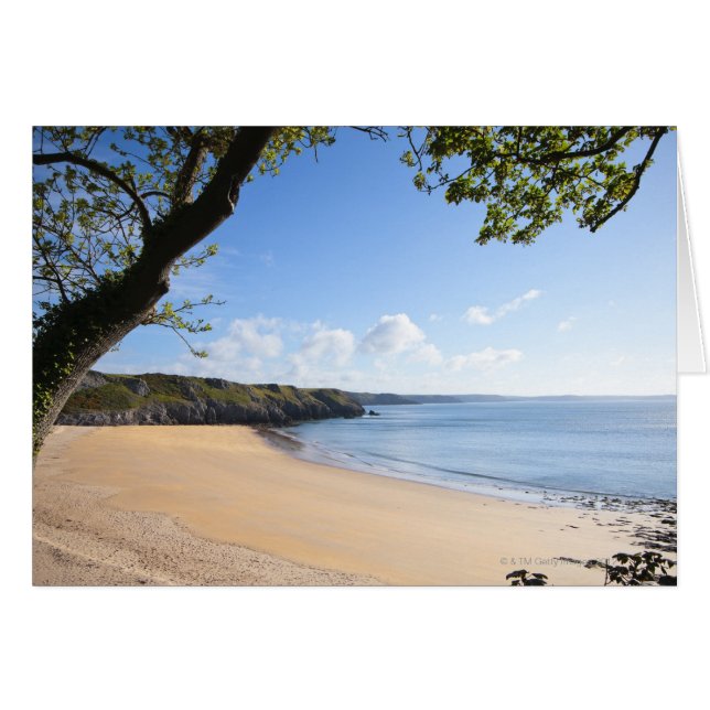 Barafundle Bay Pembroke Pembrokeshire Costa (Anverso (Horizontal))