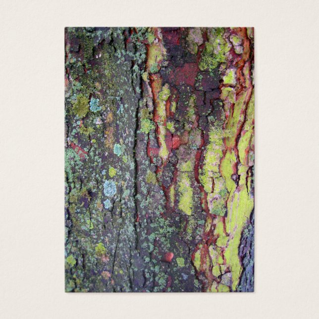 Baraja de árbol (Frente)