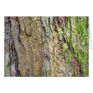 Baraja de árbol cubierta por mosquitos