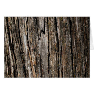Baraja de árbol en blanco