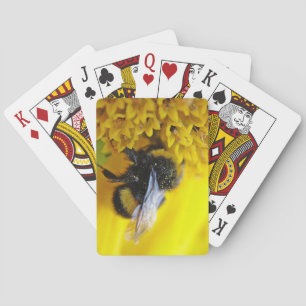 BARAJA DE CARTAS 101.JPG