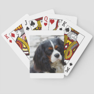 Baraja De Cartas 2.ª caballería