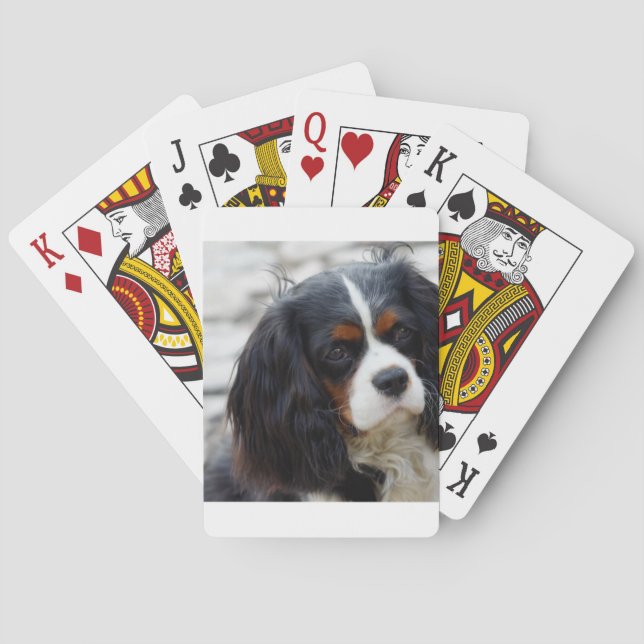 Baraja De Cartas 2.ª caballería (Reverso)